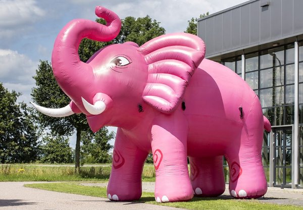 Accroche regards, attrape regards, gonflable animaux géants, éléphant rose géant,évenementiel