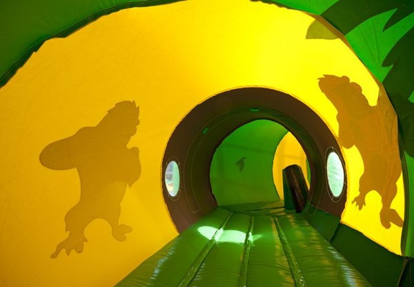 Tunnel gorille stéphane